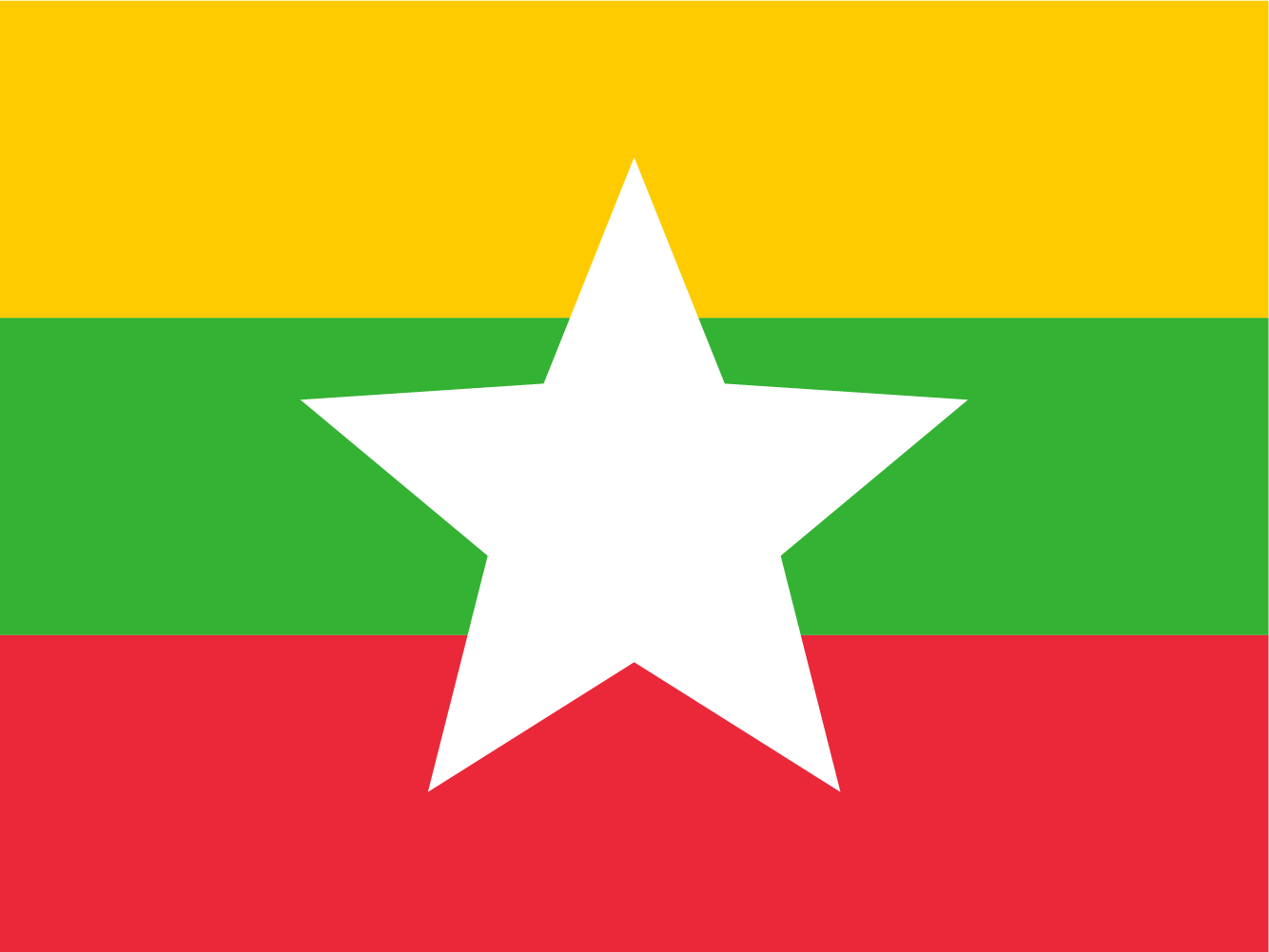 Burmese flag